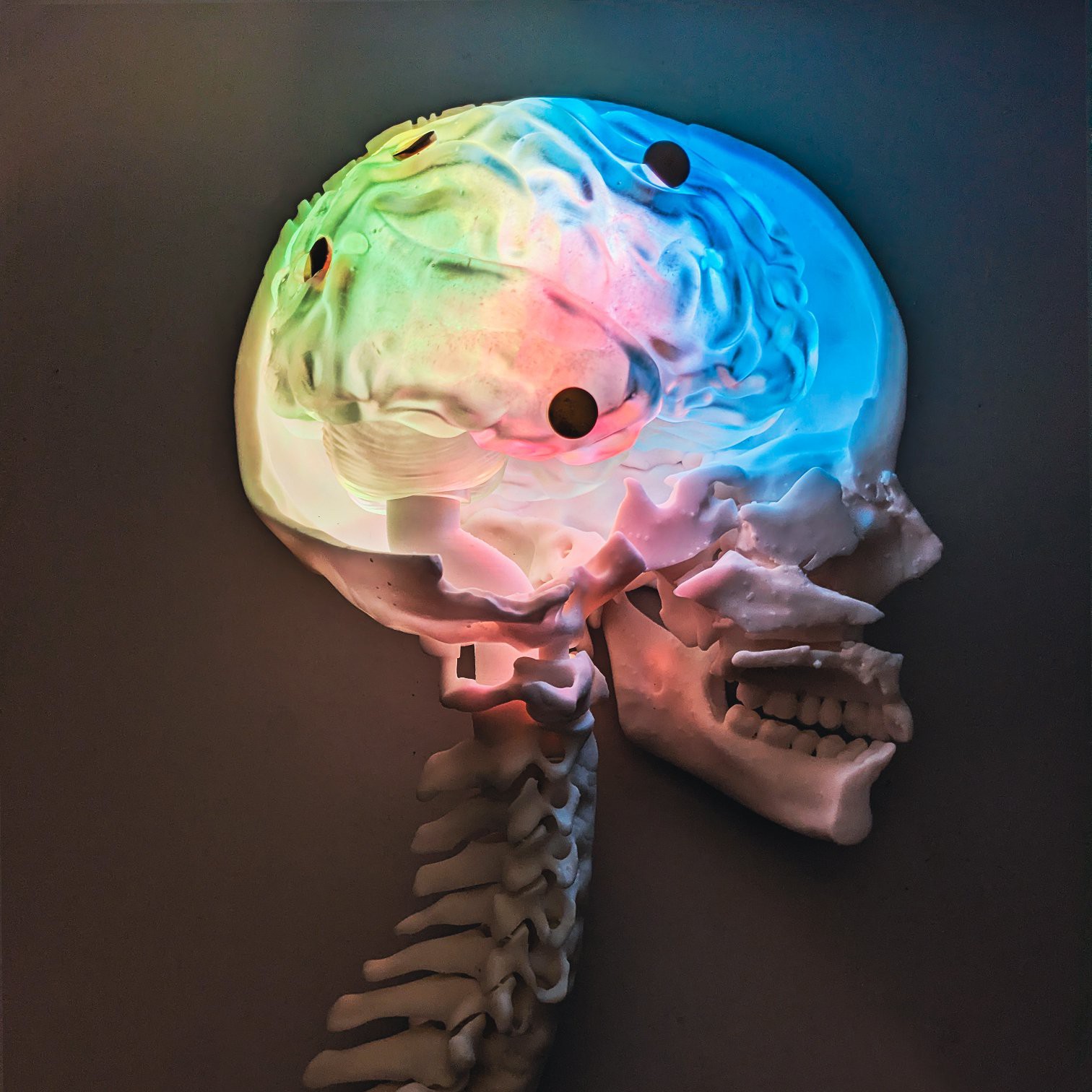 Illuminated Brain